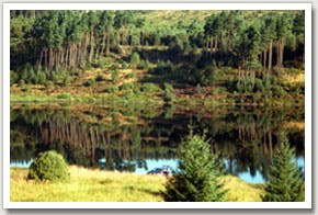 Kielder Water